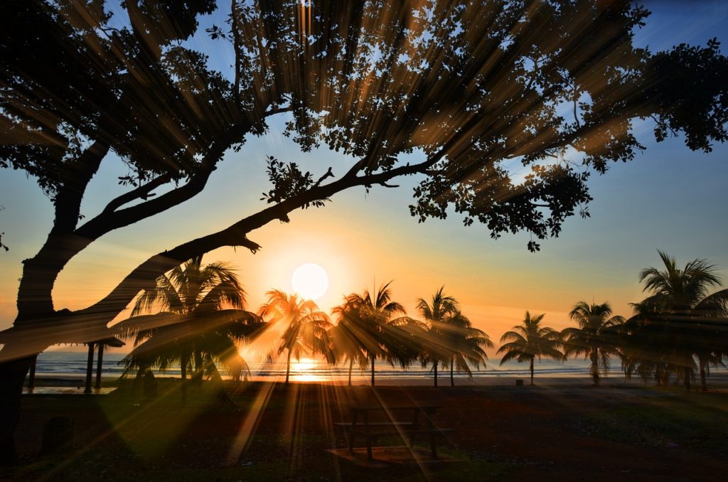 sunrise, ray, beach-1688887.jpg